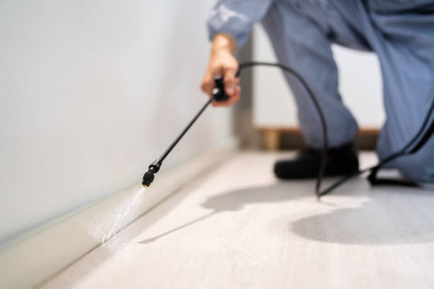Rodent Entry Point Assessment in Fergus Falls