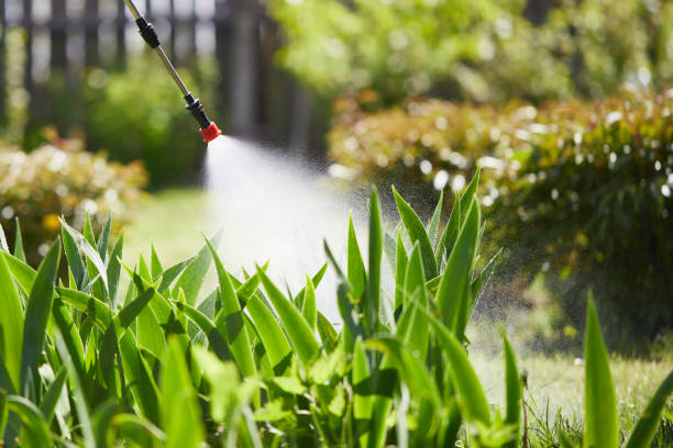 Tamper-Resistant Bait Stations for Rodents in Fergus Falls