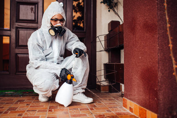 Attic and Crawl Space Rodent Treatment in Fergus Falls