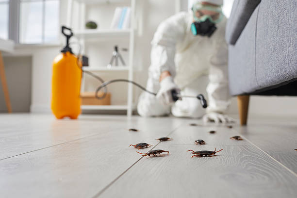 Commercial Rodent Management in Fergus Falls